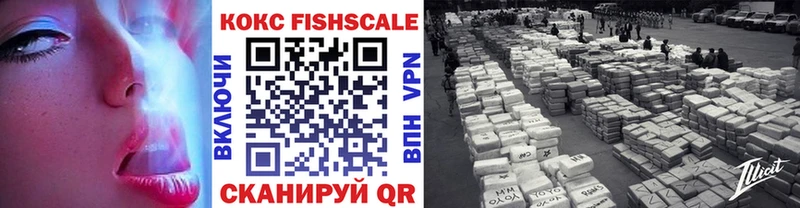 darknet какой сайт  даркнет сайт  Балашов  COCAIN Эквадор 