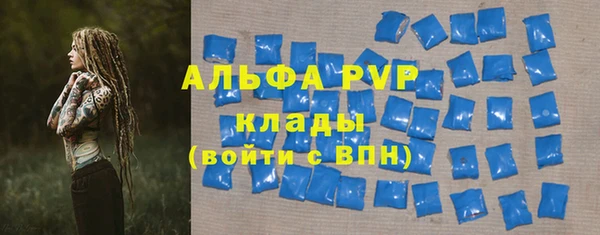 твердый Богданович